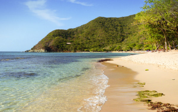 Bahía Concha - Imagen 2